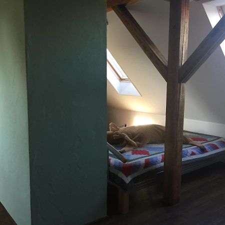 Ferienwohnung Schulze Freital Buitenkant foto