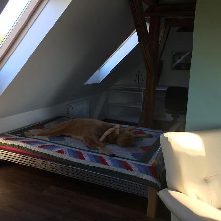 Ferienwohnung Schulze Freital Buitenkant foto