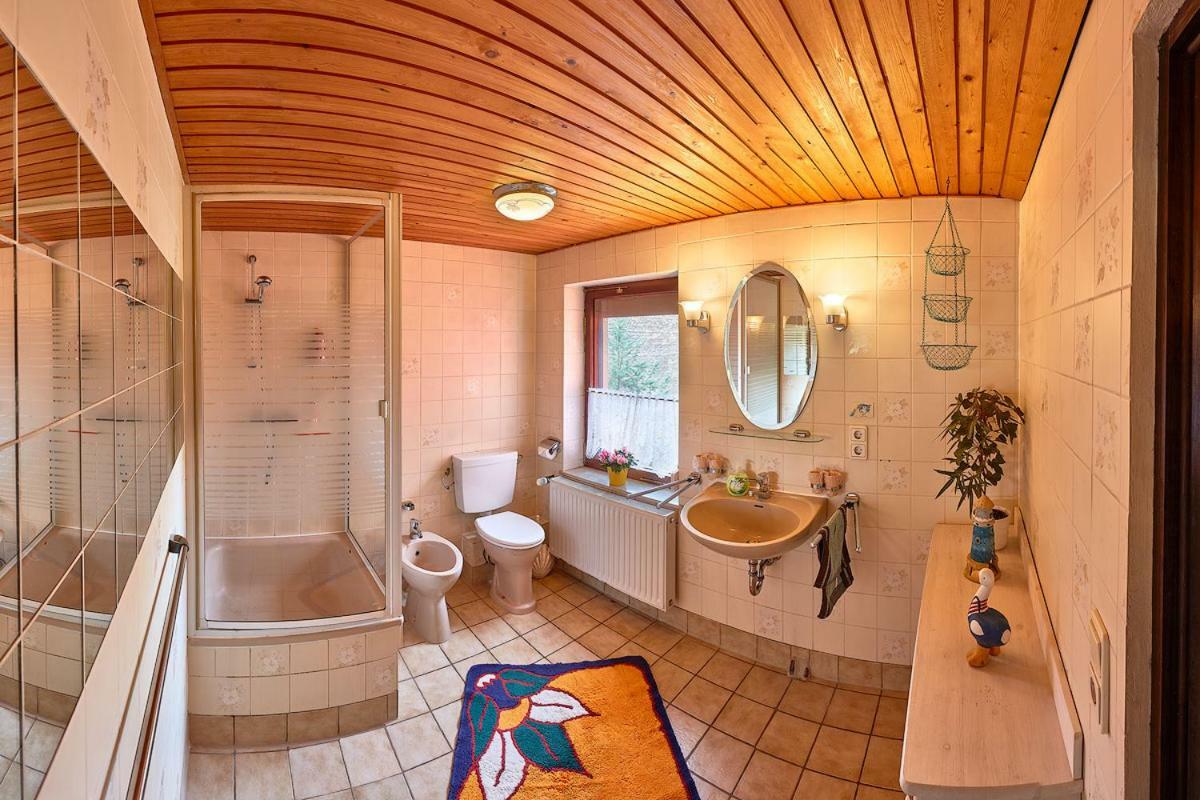 Ferienwohnung Schulze Freital Buitenkant foto