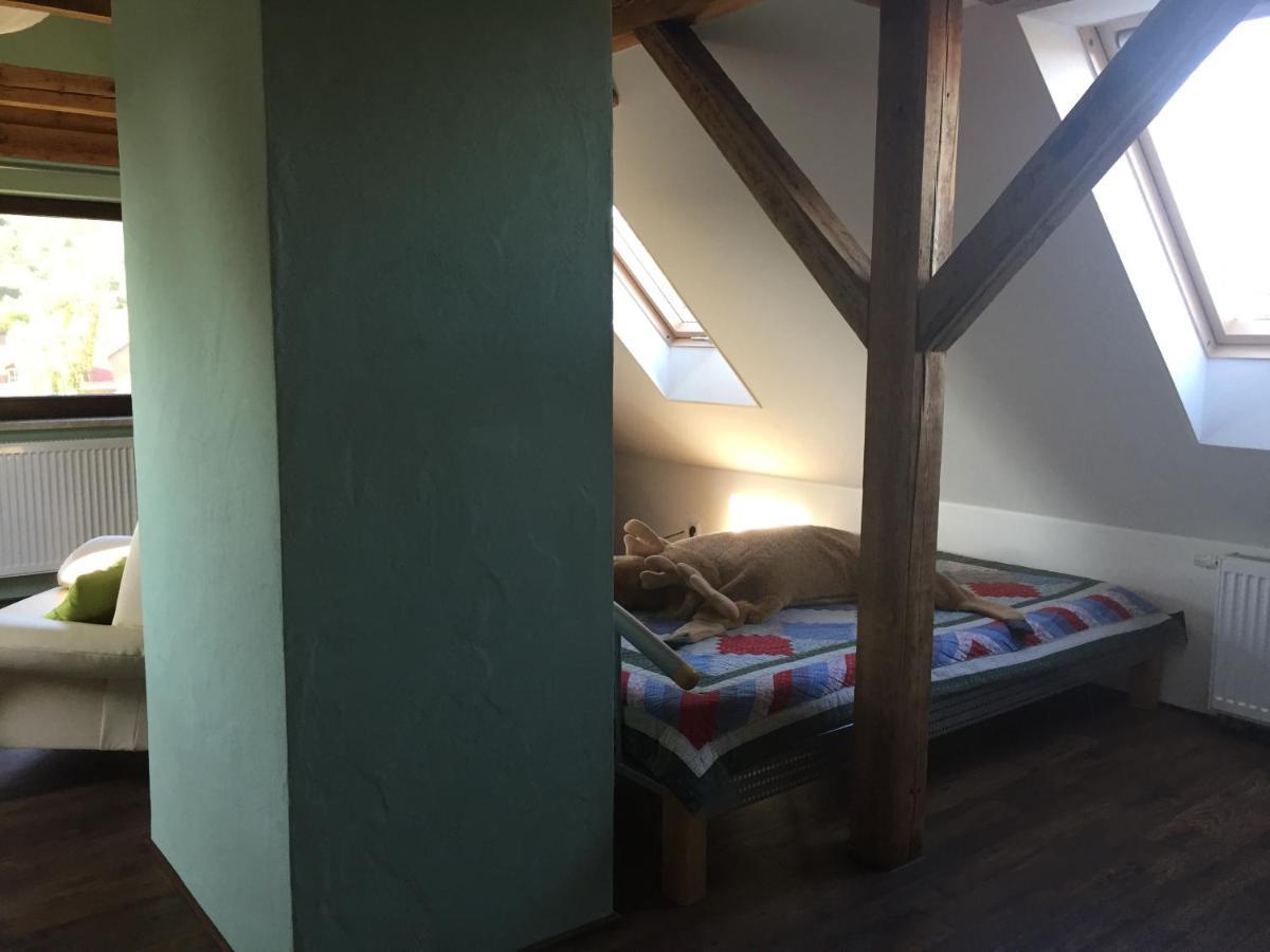 Ferienwohnung Schulze Freital Buitenkant foto